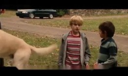 马利和我在线观看,宠物与主人间的真挚情感